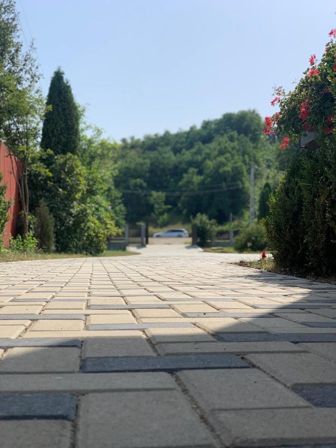 Pensiunea Romana Onesti Esterno foto